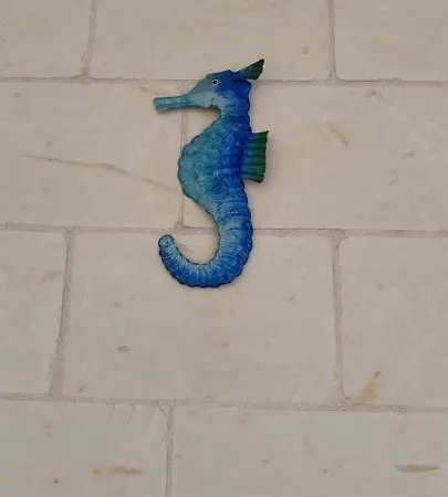 Sea Horse Flat * Marsalforn